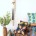 Decor & Lifestyle